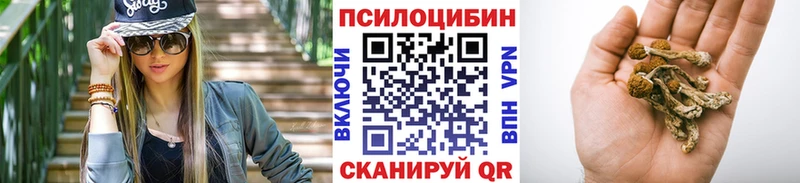 Купить где  Благовещенск  Псилоцибиновые грибы MAGIC MUSHROOMS 